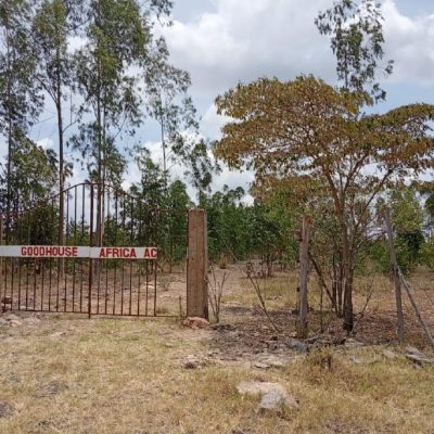 An agricultural land for sale