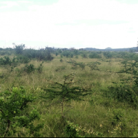 An agricultural land for sale - Image 5