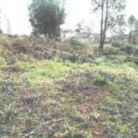 An Agricultural Land for sale in Thimbigua - Image 3