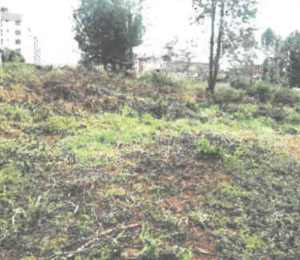 An Agricultural Land for sale in Thimbigua