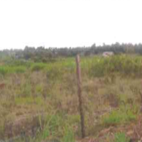 A Vacant agricultural land for Sale - Image 3