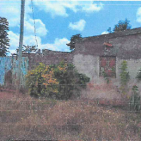 Four-Bedroomed Bungalow - Image 6