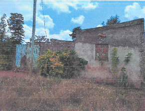 Four-Bedroomed Bungalow