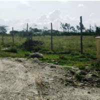 A Vacant land for sale - Image 2