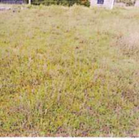 Vacant Residential Property - Image 2