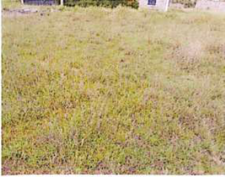 Vacant Residential Property