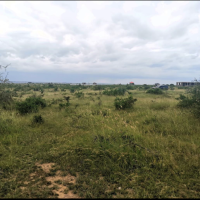 An agricultural land for sale - Image 4