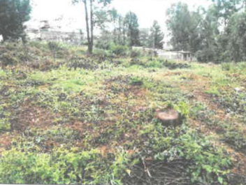 An Agricultural Land for sale in Thimbigua