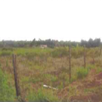 A Vacant agricultural land for Sale - Image 2
