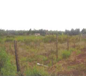 A Vacant agricultural land for Sale