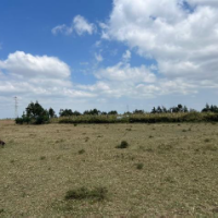 Residential Cum Agricultural Property - Image 5