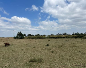 Residential Cum Agricultural Property