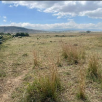 Residential Cum Agricultural Property - Image 4