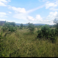 An agricultural land for sale - Image 2