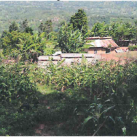 Agricultural Land For Sale With Two Residential Houses - Image 5