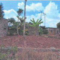Four-Bedroomed Bungalow - Image 3