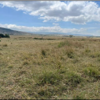 Residential Cum Agricultural Property - Image 3