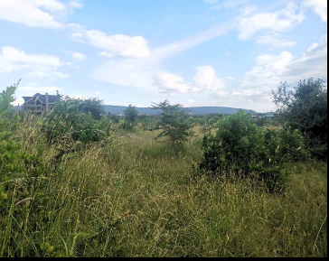 An agricultural land for sale