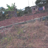 Four-Bedroomed Bungalow - Image 2