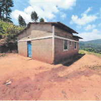 Agricultural Land For Sale With Two Residential Houses - Image 4