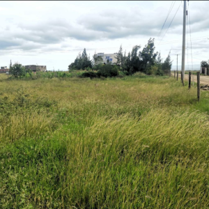 A Vacant Residential Property
