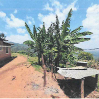 Agricultural Land For Sale With Two Residential Houses - Image 2