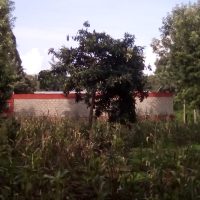 An agricultural land for sale - Image 4