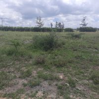 A Vacant Residential Property - Image 2