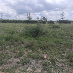 A Vacant Residential Property