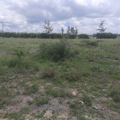 A Vacant Residential Property