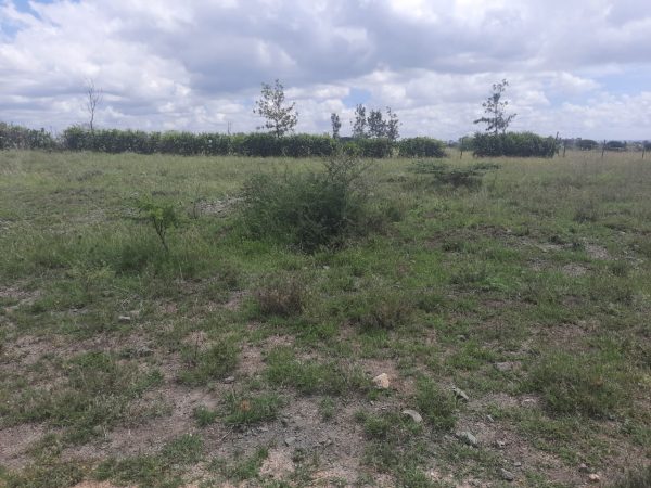 A Vacant Residential Property