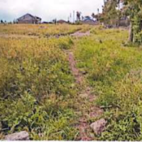 Vacant Residential Property - Image 3