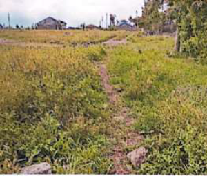 Vacant Residential Property
