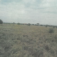 A Vacant Residential Property In Lucky Base Area - Image 6