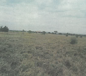 A Vacant Residential Property In Lucky Base Area