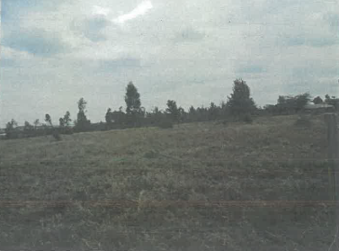 A Vacant Residential Property In Lucky Base Area
