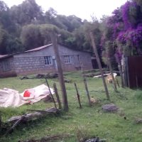 A Five Bedroom Bungalow In Gilgil, Nakuru County - Image 4