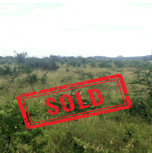 An agricultural land for sale