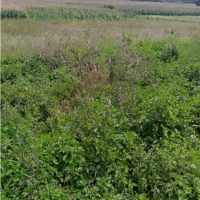 A Vacant Residential Property At Kikopey In Gilgil, Nakuru County - Image 2