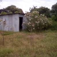 A Vacant Residential Property With A Semi-Permanent Structure In Nyeri - Image 3