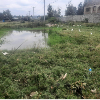 Residential Plot For Sale In Kitengela Ward, Kajiado County - Image 4