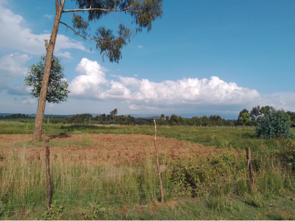 A Vacant Residential Property In Kanyagia, Nyandarua County