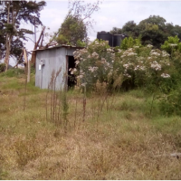 A Vacant Residential Property With A Semi-Permanent Structure In Nyeri - Image 4