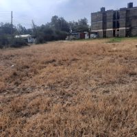 A Vacant Residential Land In Ruiru, Kiambu County - Image 3
