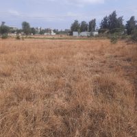 A Vacant Residential Land In Ruiru, Kiambu County - Image 2