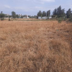 A Vacant Residential Land In Ruiru, Kiambu County