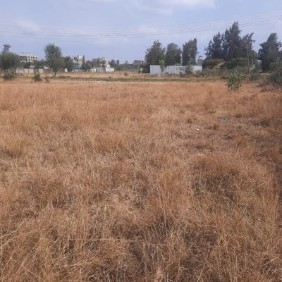 A Vacant Residential Land In Ruiru, Kiambu County